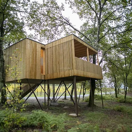 Enoturismo Maria Manuela 캠프장 *