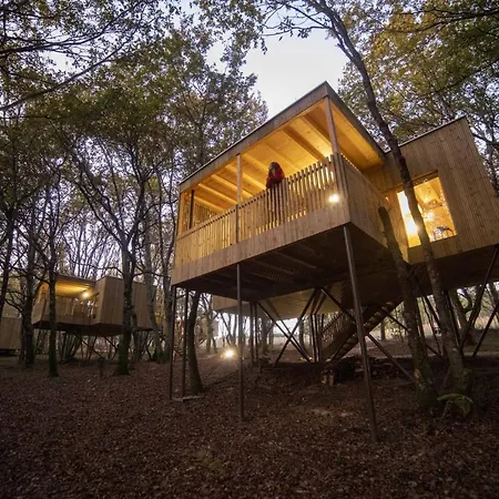 Enoturismo Maria Manuela Camping