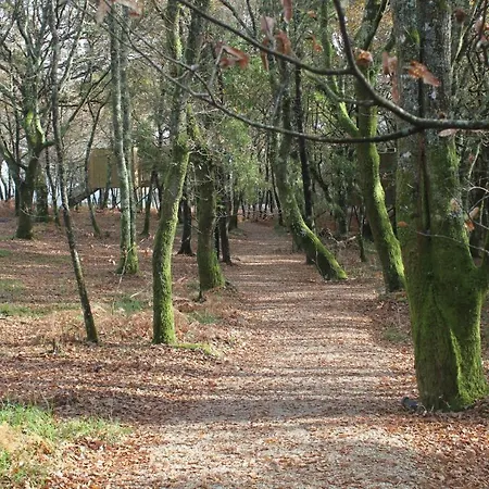 Enoturismo Maria Manuela Campsite Boqueixon