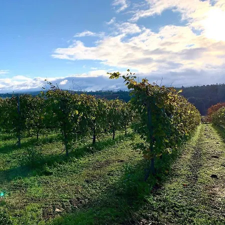 Camping Enoturismo Maria Manuela Boqueixon