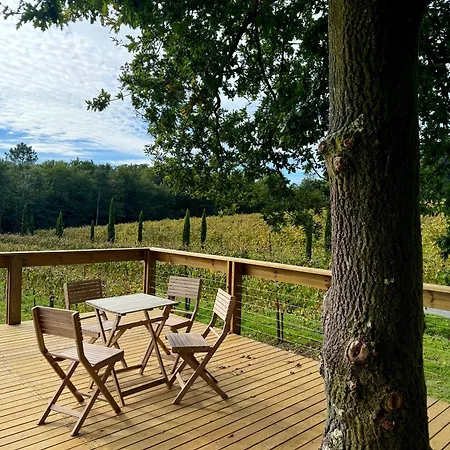 Enoturismo Maria Manuela * Boqueixon