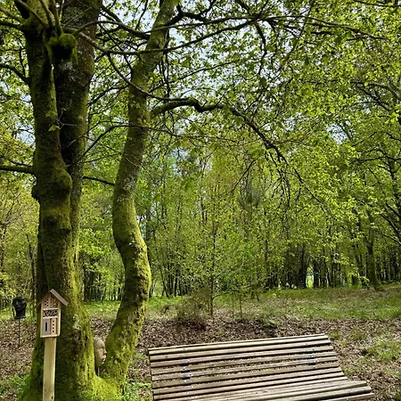 캠프장 Enoturismo Maria Manuela Boqueixon