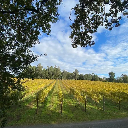 Enoturismo Maria Manuela *