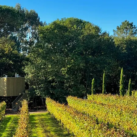 Camping Enoturismo Maria Manuela Boqueixon