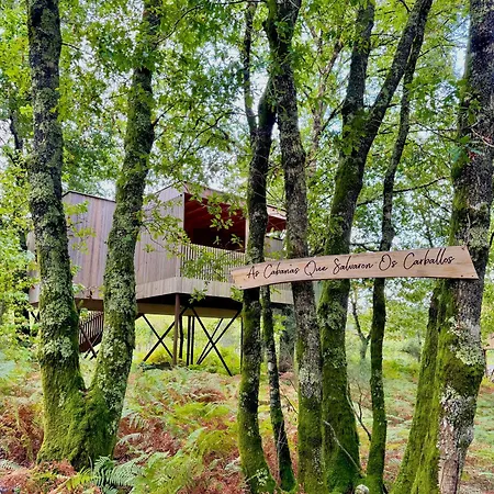 Enoturismo Maria Manuela *