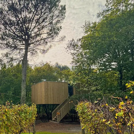 Enoturismo Maria Manuela Camping