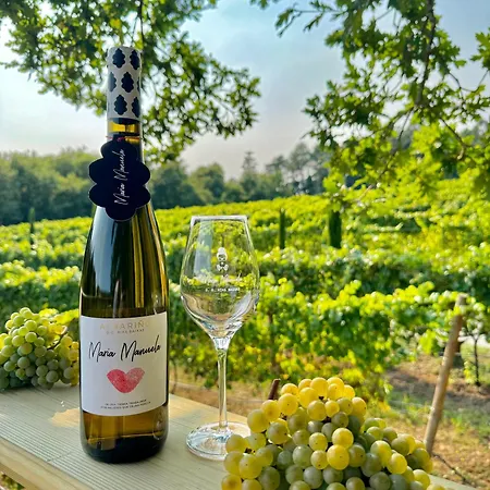 Enoturismo Maria Manuela *