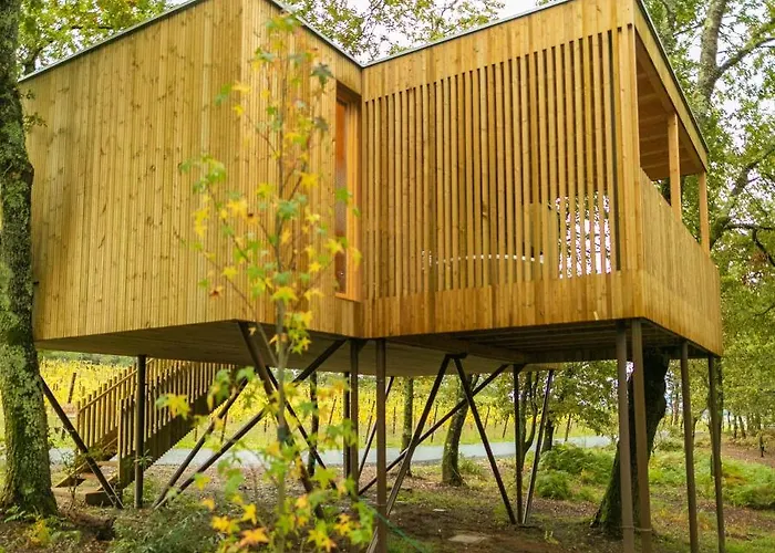 Enoturismo Maria Manuela *