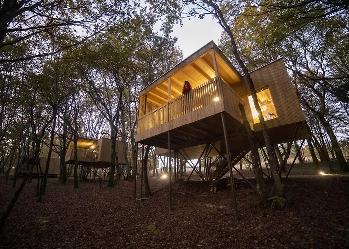 Enoturismo Maria Manuela Кемпинг