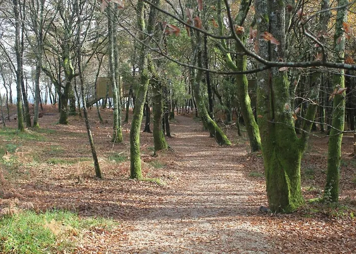 Enoturismo Maria Manuela Camping Boqueixon