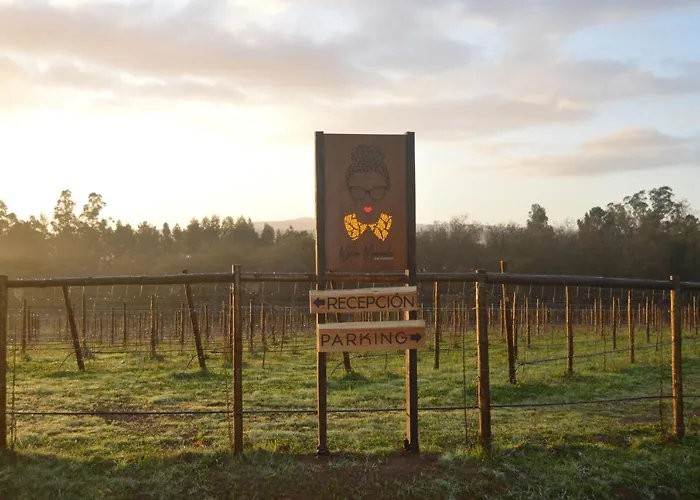 Enoturismo Maria Manuela Кемпинг Boqueixon