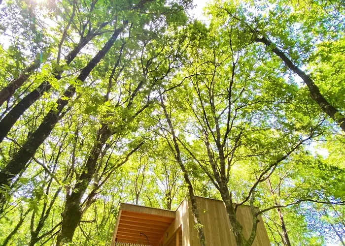 Camping Enoturismo Maria Manuela Boqueixon